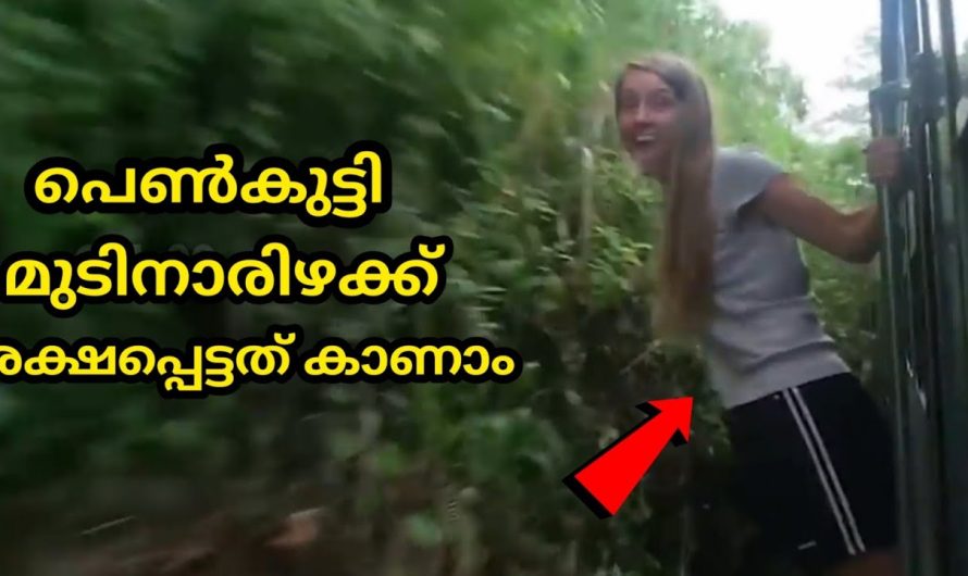 ഭാഗ്യം ഒന്നുകൊണ്ട് മാത്രം അപകടകരമായ അവസ്ഥകളിൽ നിന്ന് ജീവൻ തിരിച്ചു കിട്ടിയ മനുഷ്യർ…