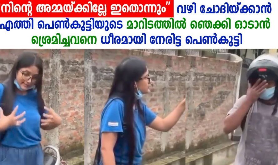 വഴി ചോദിക്കാൻ എത്തിയ യുവാവ് പെൺകുട്ടിയോട് മോശമായി പെരുമാറിയപ്പോൾ ഈ മിടുക്കി ചെയ്തത് കണ്ടോ..