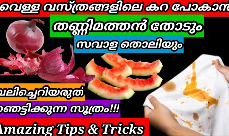 ചായ പാത്രങ്ങളിലെ അമിതമായ ചായ കറകൾ ഈസിയായി പോകാൻ സഹായിക്കുന്ന കിടിലൻ ടിപ്സുകൾ…