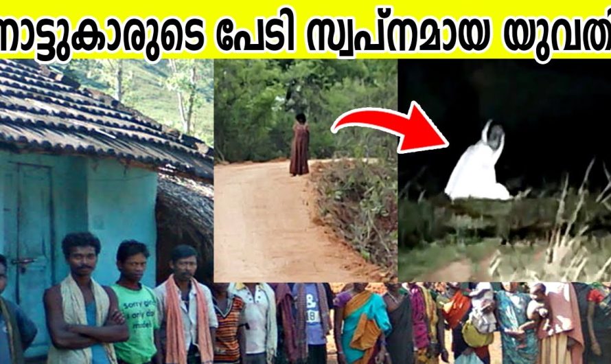 ഡ്രോണുകളിൽ പതിഞ്ഞ വ്യത്യസ്തമായ സംഭവങ്ങളും ചില മനുഷ്യരും..