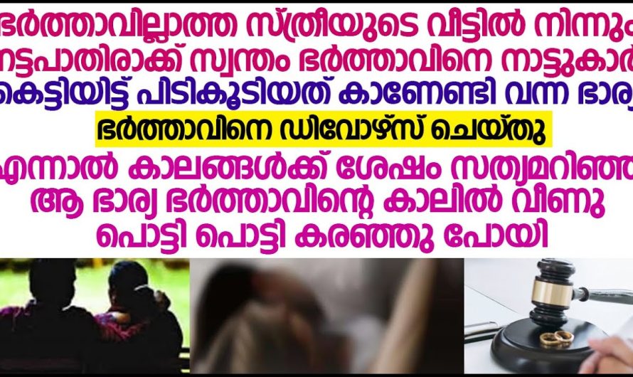 തെറ്റിദ്ധാരണ കൊണ്ട് ഭർത്താവിനെ ഡിവോഴ്സ് ചെയ്ത ഭാര്യക്ക് സംഭവിച്ചത്..