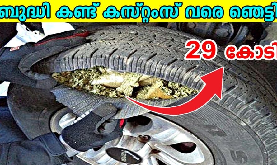 വീട്ടിലെ ടോയ്ലറ്റ് നേരെയാക്കുന്നതിനിടയിൽ അവിടെ നിന്നും അച്ഛനും മക്കൾക്കും ലഭിച്ച നിധി..