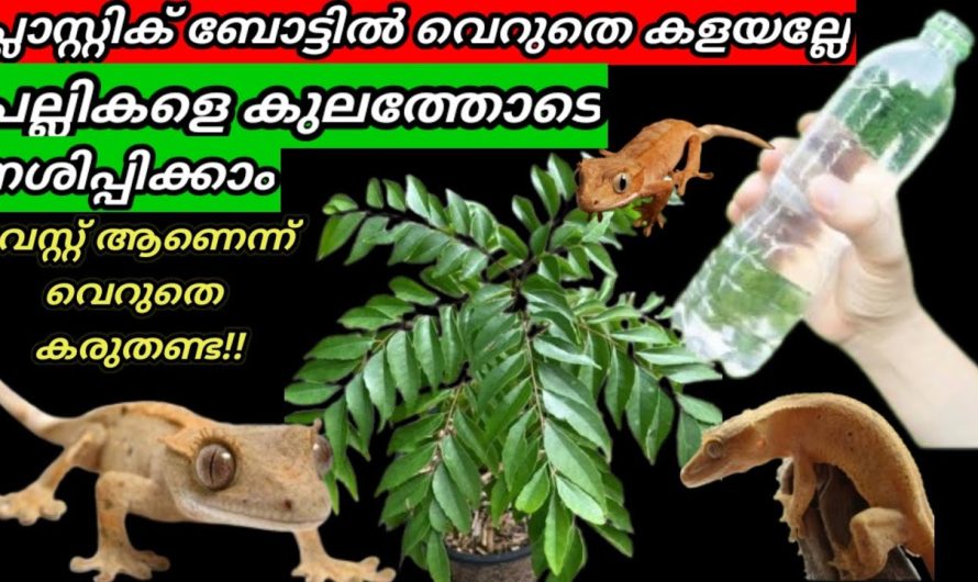 ചായക്കറകൾ മാറി പാത്രം പുതിയത് പോലെ തിളങ്ങാൻ ഈ ഒരൊറ്റ കാര്യം ചെയ്താൽ മതി..