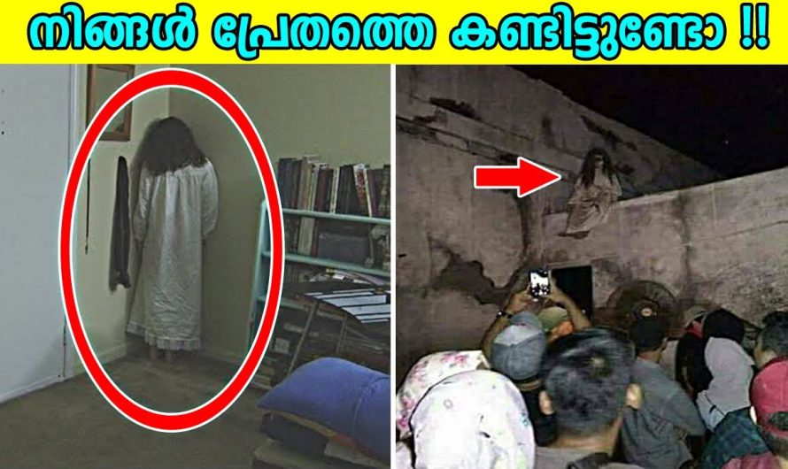 ഒരുപാട് നിഗൂഢതകൾ ഒളിഞ്ഞിരിക്കുന്ന ഈസ്റ്റർ ഐലൻഡ്..