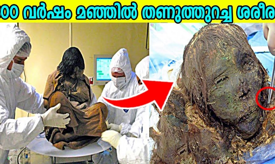 മഞ്ഞുകൊണ്ട് തണുത്തുറഞ്ഞ വംശനാശം സംഭവിക്കുന്ന കുറച്ചു ജീവികളെ കുറിച്ച് മനസ്സിലാക്കാം..