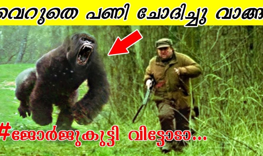 ജീവികളുമായി ബന്ധപ്പെട്ട വിചിത്രവും അത്ഭുതകരമായ കുറച്ചു കാര്യങ്ങൾ പരിചയപ്പെടാം..