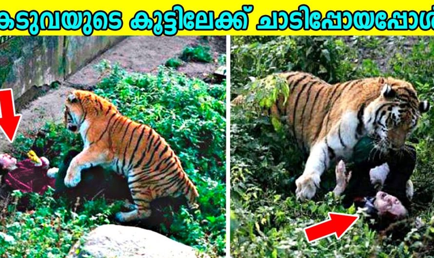 മൃഗശാല സന്ദർശനത്തിനു പോയി മൃഗങ്ങളുടെ കൂട്ടിൽ അകപ്പെട്ട മനുഷ്യർ…