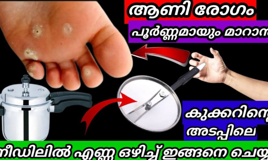 വീട്ടമ്മമാർക്കും മറ്റുള്ളവർക്കും ചെയ്യാൻ പറ്റുന്ന ചില അടിപൊളി ടിപ്സുകൾ പരിചയപ്പെടാം..