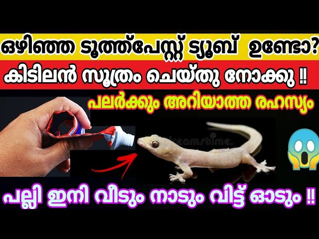 ഉള്ളി കട്ട് ചെയ്യുമ്പോൾ കണ്ണിൽ നിന്നും വെള്ളം വരാതിരിക്കാൻ സഹായിക്കുന്ന ഒരു കിടിലൻ ടിപ്സ് പരിചയപ്പെടാം..
