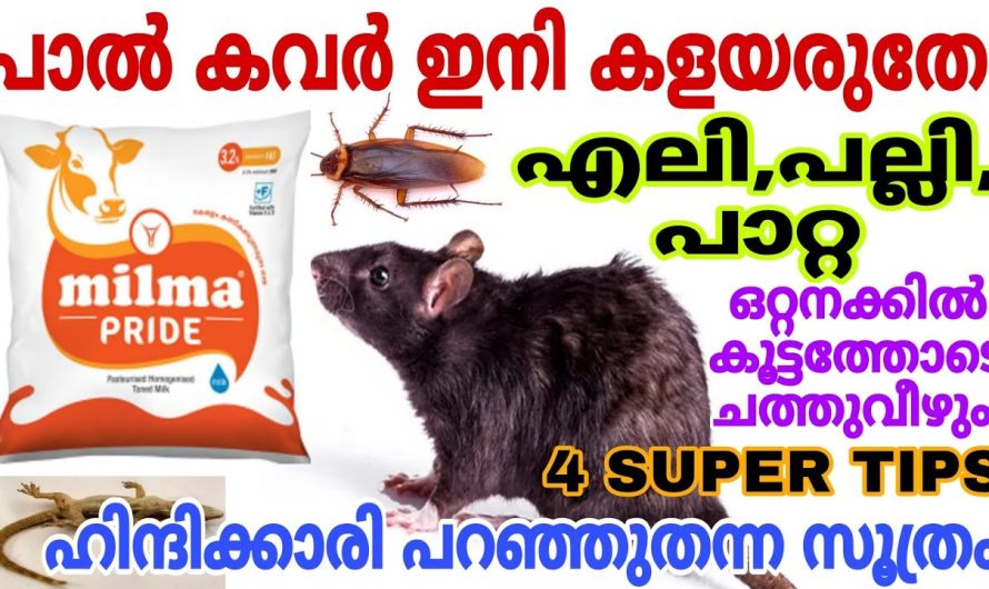വീട്ടിൽ പാൽ കവർ ഉണ്ടോ എങ്കിൽ എലിശല്യം പാടെ ഇല്ലാതാ ക്കാം..