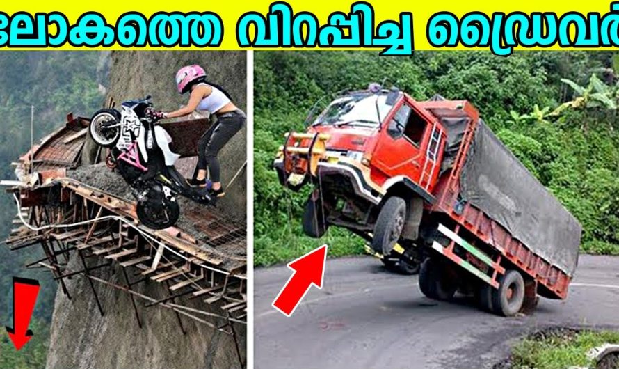 വിചിത്രമായ ഡ്രൈവിംഗ് സ്കില്ലുകൾ ഉള്ള ലോകത്തിലെ മികച്ച ഡ്രൈവർമാർ..