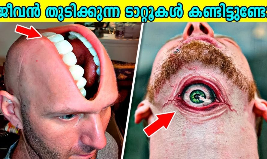 വ്യത്യസ്തമായ ടാറ്റുകളും അത് ചെയ്യുന്ന രീതികളെ കുറിച്ചും മനസ്സിലാക്കാം..