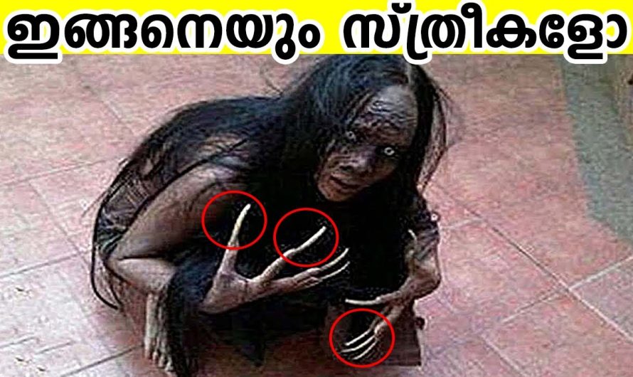 വിചിത്രമായ കഴിവുകളും സംസ്കാര രീതികളും ഉള്ള കിഴക്കൻ ആഫ്രിക്കയിലെ സ്ത്രീകൾ..