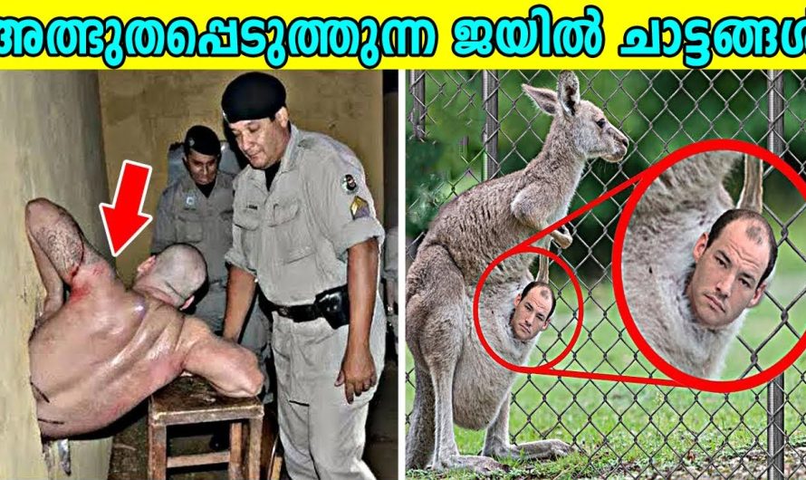 വളരെ വിചിത്രമായ രീതിയിൽ എല്ലാവരെയും ഞെട്ടിച്ച 10 ജയിൽ ചാട്ടങ്ങൾ..
