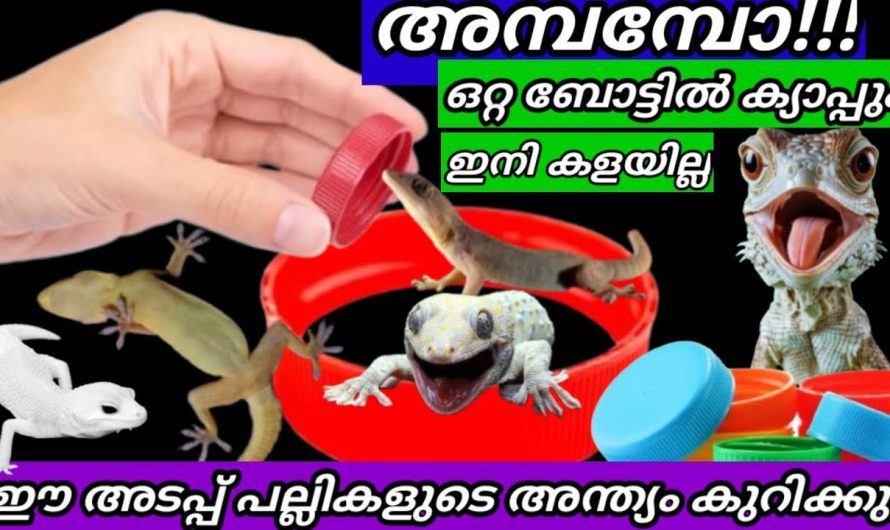 ഇനി ബോട്ടിലുകളിൽ അച്ചാറുകളുടെ സ്മെല്ലുകൾ വരില്ല ഈ ഒരു ടിപ്സ് ചെയ്താൽ മതി..