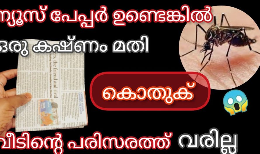 ഒരു കഷണം ന്യൂസ് പേപ്പർ കയ്യിലുണ്ടെങ്കിൽ വീട്ടിലെ പ്രാണികളുടെ ശല്യം ഇല്ലാതാക്കാം..