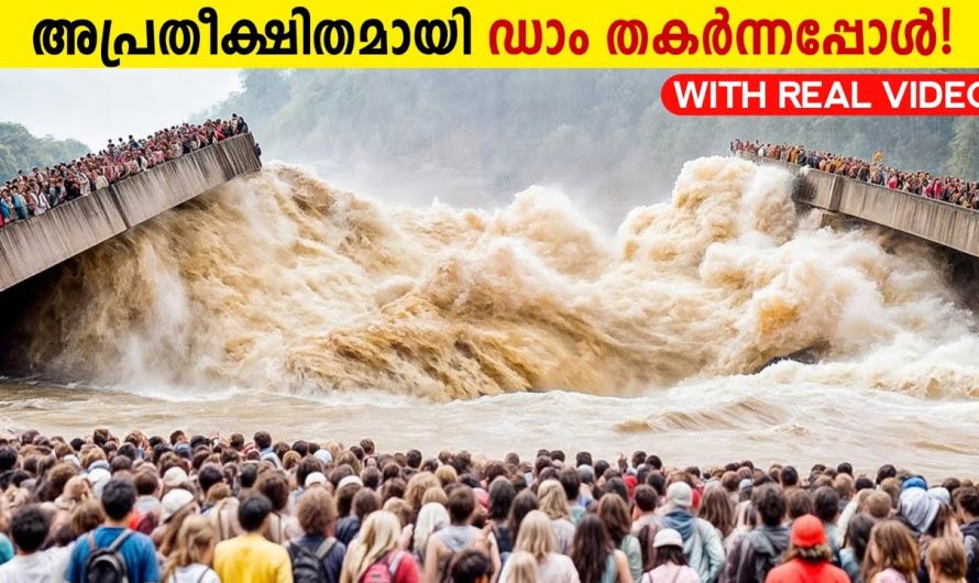 ഇങ്ങനെയെങ്കിൽ  എന്തായിരിക്കും അവസ്ഥ!😱