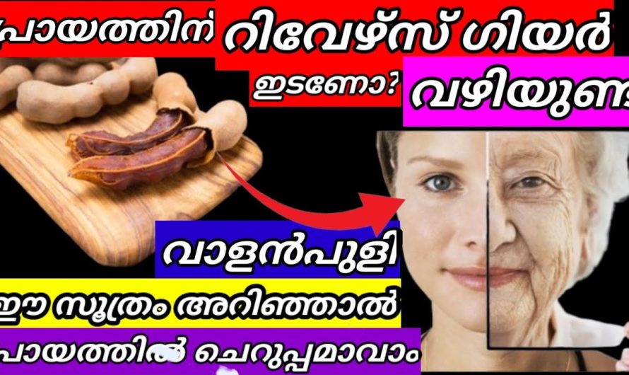 എല്ലാവർക്കും വളരെയധികം ഉപകാരപ്രദമായ അടിപൊളി ടിപ്സുകൾ പരിചയപ്പെടാം..