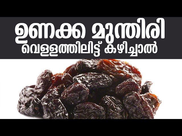 ഉണക്കമുന്തിരി ദിവസവും വെള്ളത്തിലിട്ട് കുതിർത്ത് കഴിച്ചാൽ ഗുണങ്ങൾ പലത്..