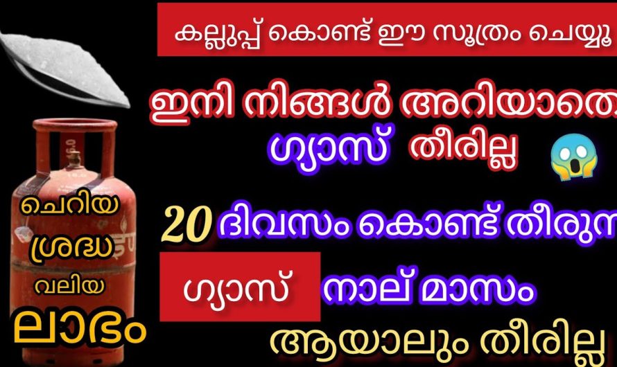 ഈ പറയുന്ന കാര്യങ്ങൾ ശ്രദ്ധിച്ചാൽ വീട്ടിലെ ഗ്യാസ് ഈസിയായി സേവ് ചെയ്യാം..