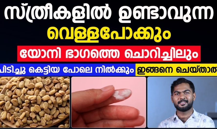 സ്ത്രീകളിൽ ഉണ്ടാകുന്ന വെള്ളപോക്കും അത് സംബന്ധമായ ബുദ്ധിമുട്ടുകളും..