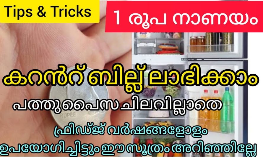 1രൂപനാണയം ഫ്രിഡ്ജില്‍ വെച്ചാൽ കറൻറ് ബില്ല് ലഭിക്കാം