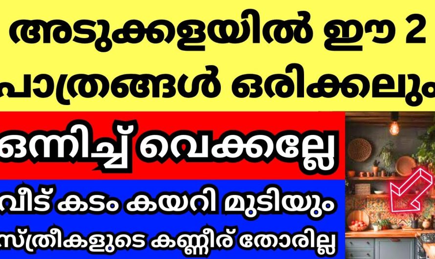അടുക്കളയിൽ വാസ്തുപ്രകാരം ശ്രദ്ധിക്കേണ്ട പ്രധാനപ്പെട്ട കാര്യങ്ങൾ..