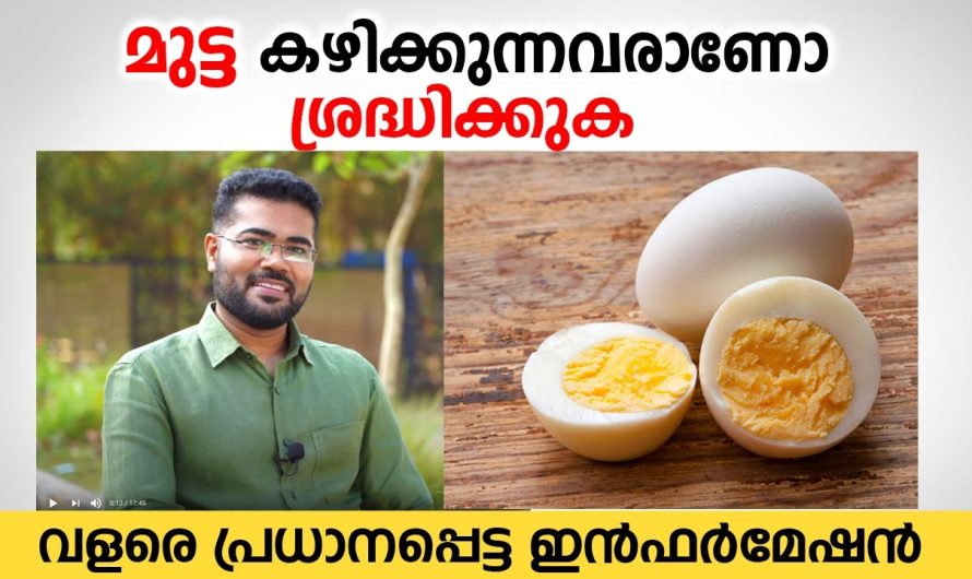 മുട്ട ദിവസവും കഴിക്കുന്നത് ആരോഗ്യത്തിന് ഹാനികരമോ??