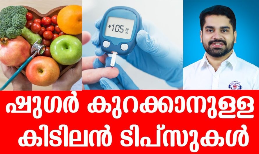 മരുന്നുകളില്ലാതെ പ്രമേഹം നിയന്ത്രിക്കാൻ സാധിക്കുമോ???