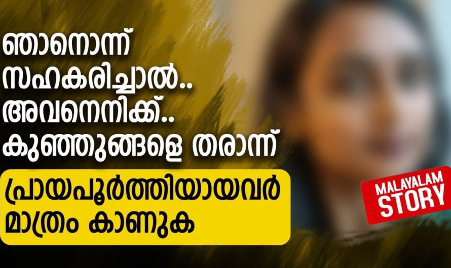 പ്രവീണേട്ടന് മക്കൾ ഉണ്ടാവില്ല.. ഞാനൊന്ന് സഹകരിച്ചാൽ അവനെനിക്ക് കുഞ്ഞുങ്ങളെ തരാന്ന്..