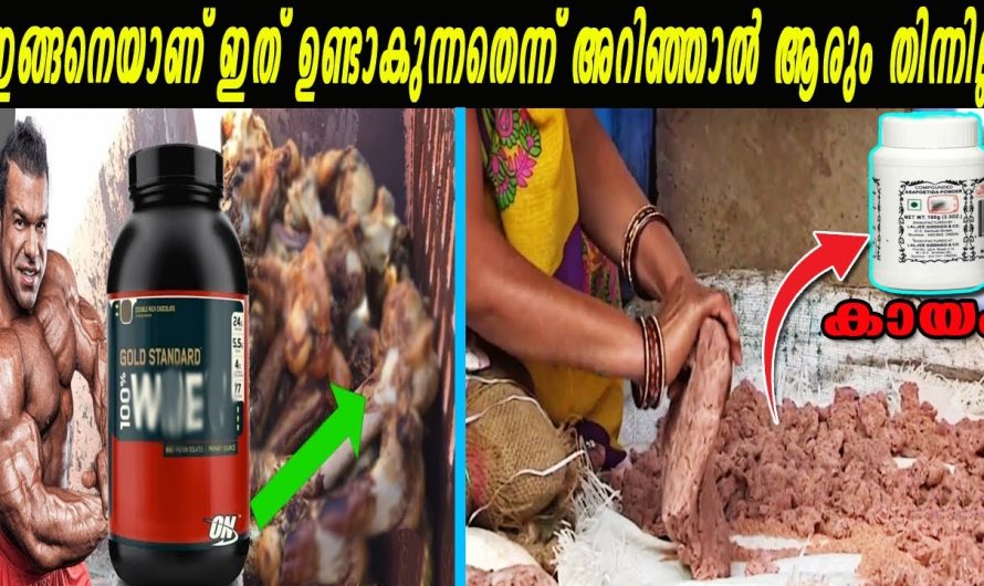 പ്രോട്ടീൻ പൗഡർ കഴിക്കുന്നതിനു മുന്നേയിതൊന്നു കാണൂ