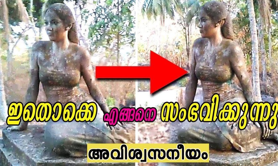 ക്യാമറയിൽ പതിഞ്ഞ,  ചലിക്കും ശില്പങ്ങൾ