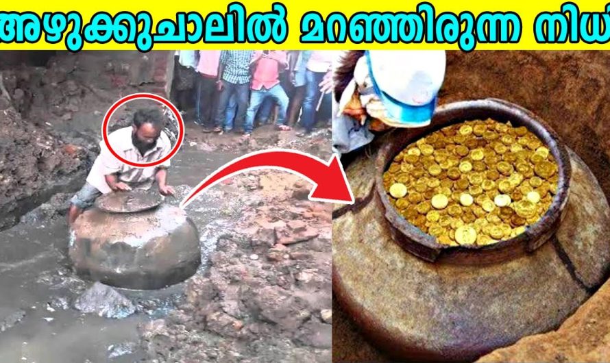 ആകസ്മികമായി കണ്ടെത്തിയ ഏറ്റവും വലിയ നിധികൾ