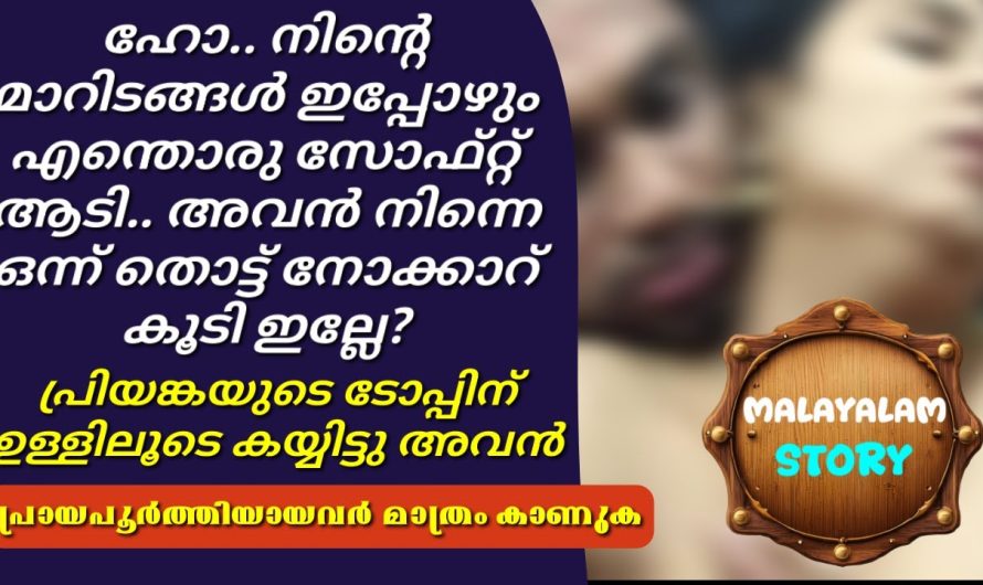 പ്രിയങ്കയുടെ ടോപ്പിന് ഉള്ളിലൂടെ കയ്യിട്ടു അവൻ എന്തൊരു സോഫ്റ്റ്‌ ആടി..