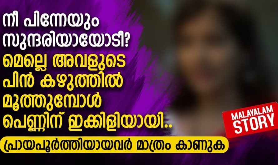 അവൾക്കും ഇഷ്ടമാണ് എന്നറിഞ്ഞപ്പോൾ ലോകം കീഴടക്കിയ പോലെ ആയിരുന്നു