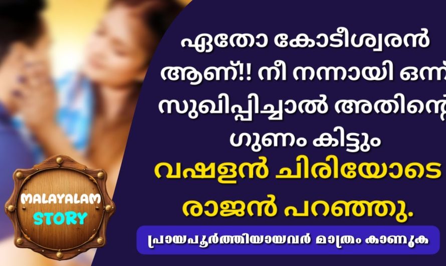 ഏതോ കോടീശ്വരൻ ആണ്.. നീ നന്നായി ഒന്ന് സുഖിപ്പിച്ചാൽ അതിന്റെ ഗുണം കിട്ടും