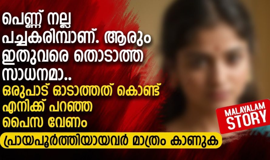 പെണ്ണ് നല്ല പച്ചകരിമ്പാണ്. ആരും ഇതുവരെ തൊടാത്ത സാധനമാ..